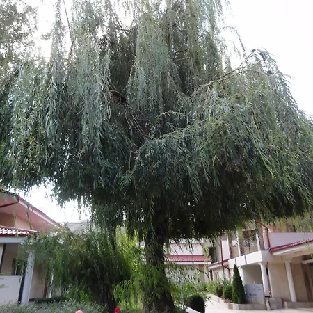 Hotel Vox Maris Grand - Adults Only Costinesti