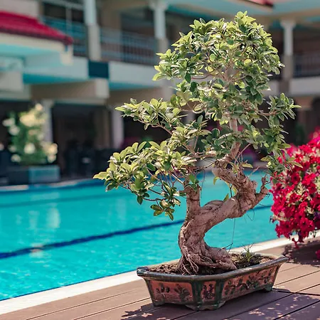 Vox Maris Grand - Adults Only